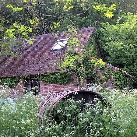 La Boursaie Livarot-Pays-d'Auge