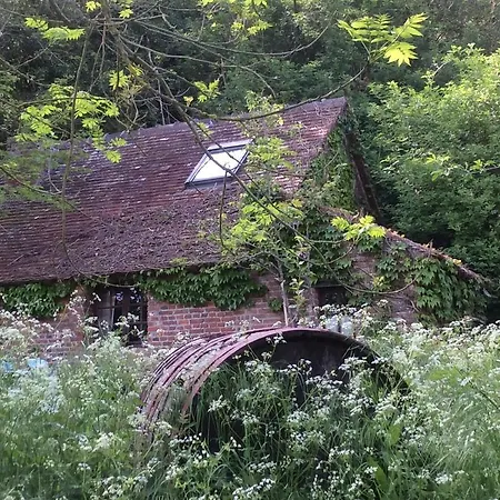 La Boursaie Livarot-Pays-d'Auge