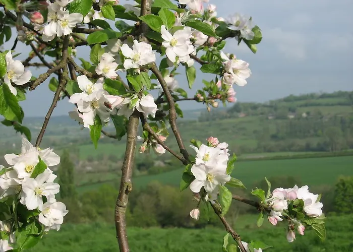 La Boursaie Frühstückspension 3*