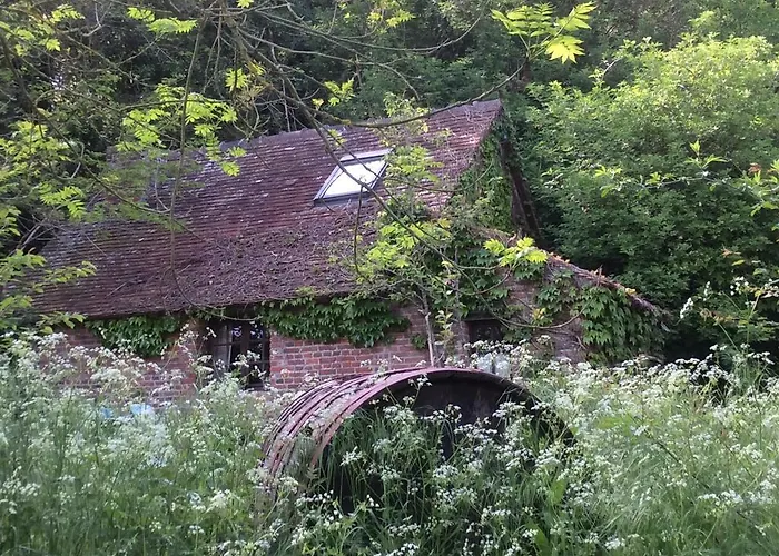 La Boursaie Livarot-Pays-d'Auge